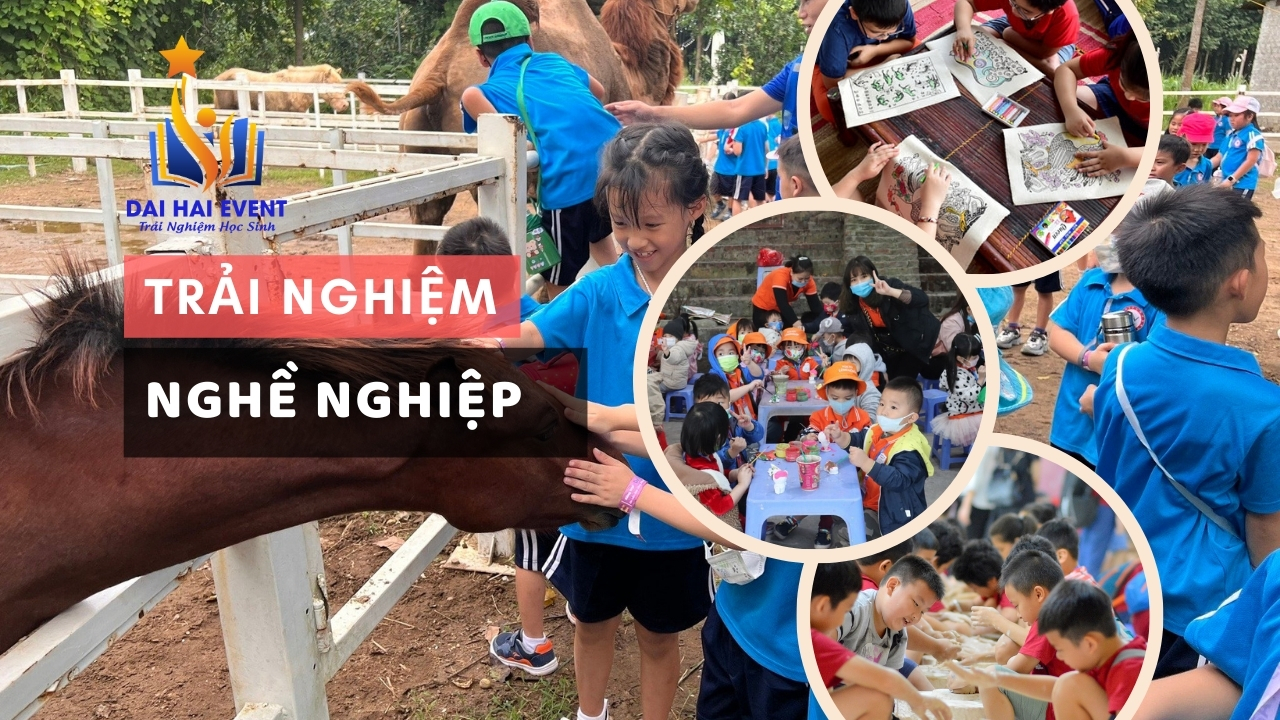 TRẢI NGHIỆM NGHỀ NGHIỆP
